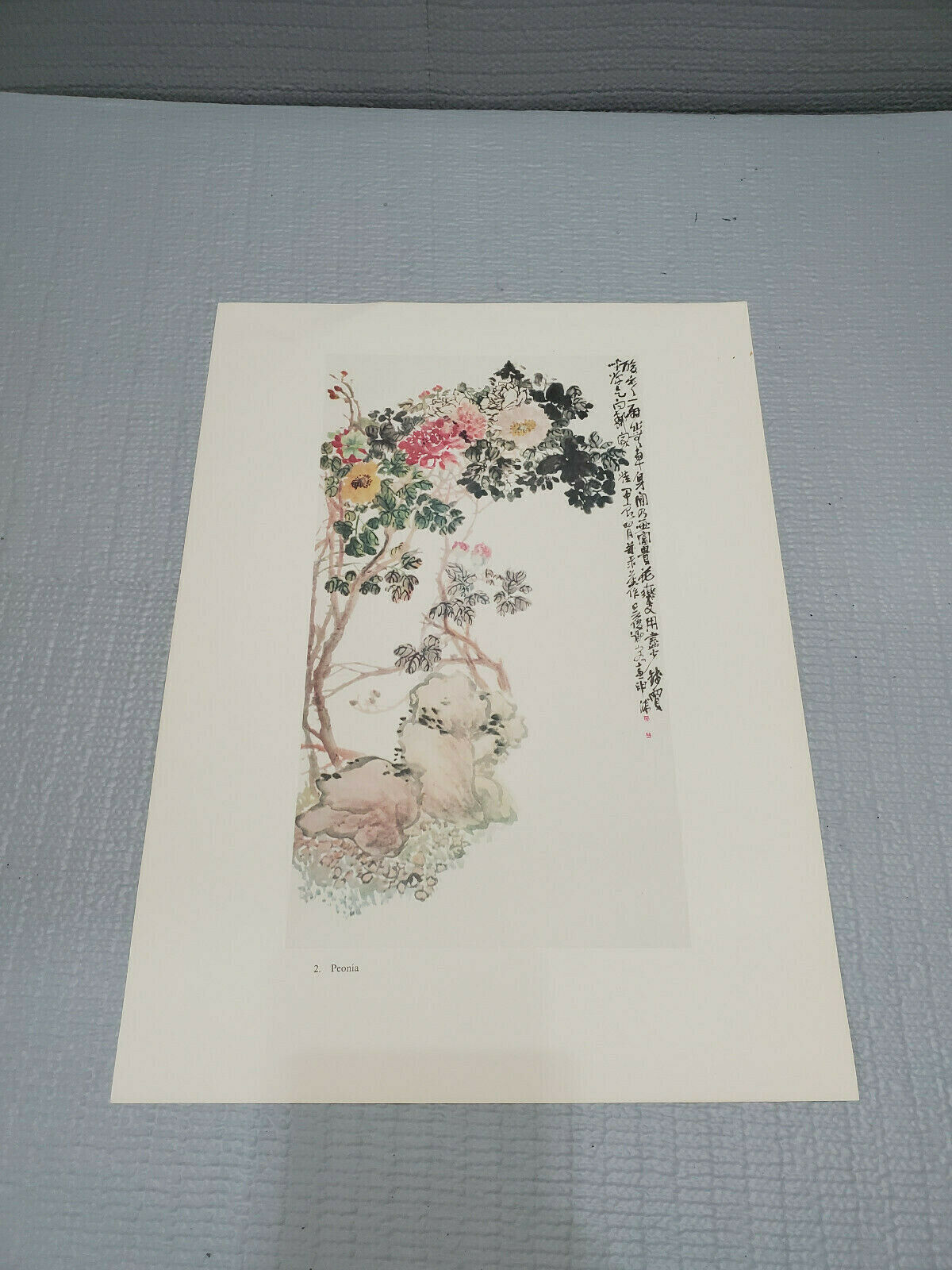 Chinese Painting Brush Ink Art  Wu Changshuo Flower Print 10'' By 14'' ~#2